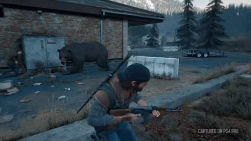 days-gone-editorial-bear-two-column-01-p