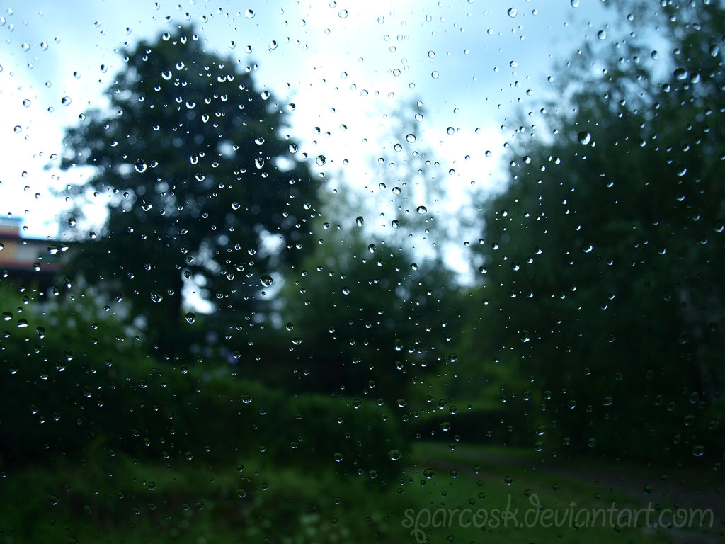 after_the_rain_by_sparcosk-d5bc6jc.jpg