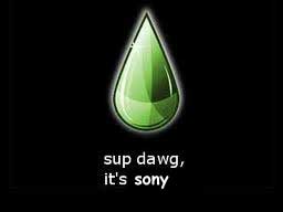 sup_sony.jpg