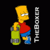 TheBoxer